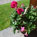 Panoramic 3*
