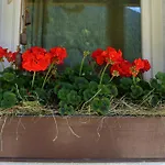 Hotel Panoramic Auronzo di Cadore