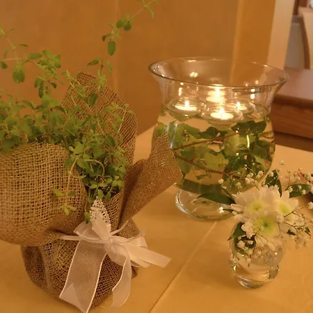 Panoramic 3* アウロンツォ・ディ・カドーレ