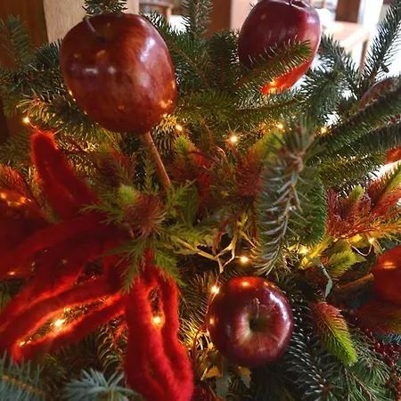 Panoramic ホテル アウロンツォ・ディ・カドーレ