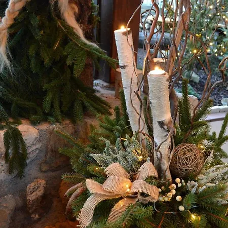 ホテル Panoramic アウロンツォ・ディ・カドーレ