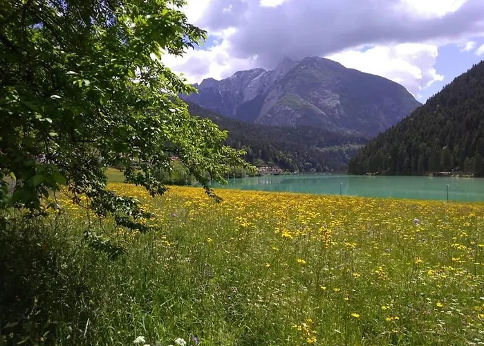 Hotel Panoramic Auronzo di Cadore