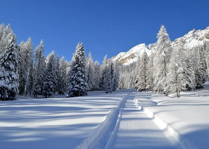 Panoramic 3* Auronzo di Cadore