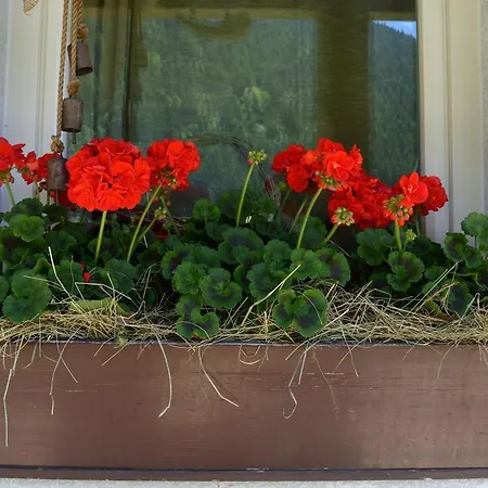 Szálloda Panoramic Auronzo di Cadore