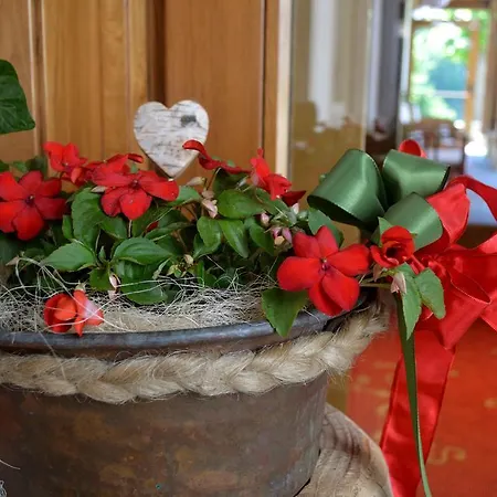 Panoramic Szálloda Auronzo di Cadore