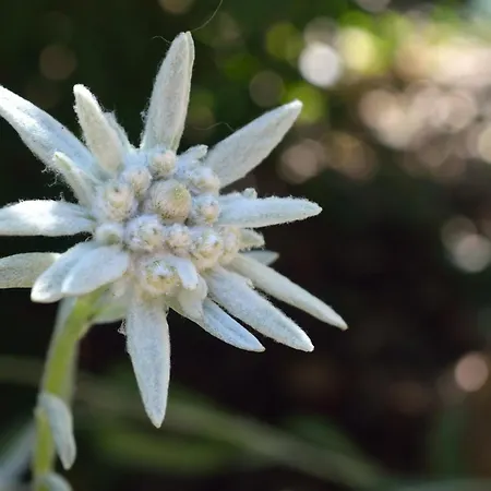 Panoramic Szálloda 3*