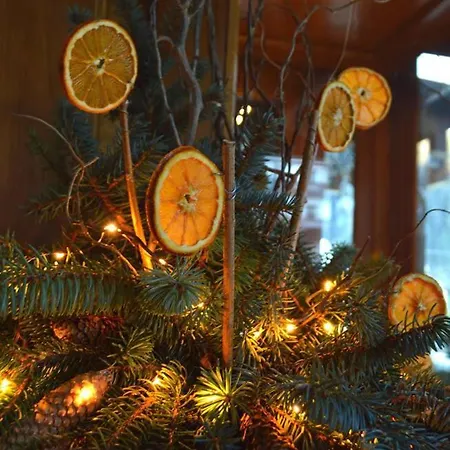 Panoramic 아우론조디까도레