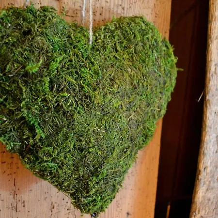 Panoramic Szálloda Auronzo di Cadore