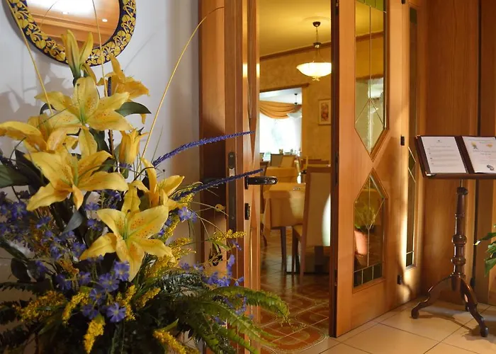 فندق Panoramic أورونزو دي كادوري