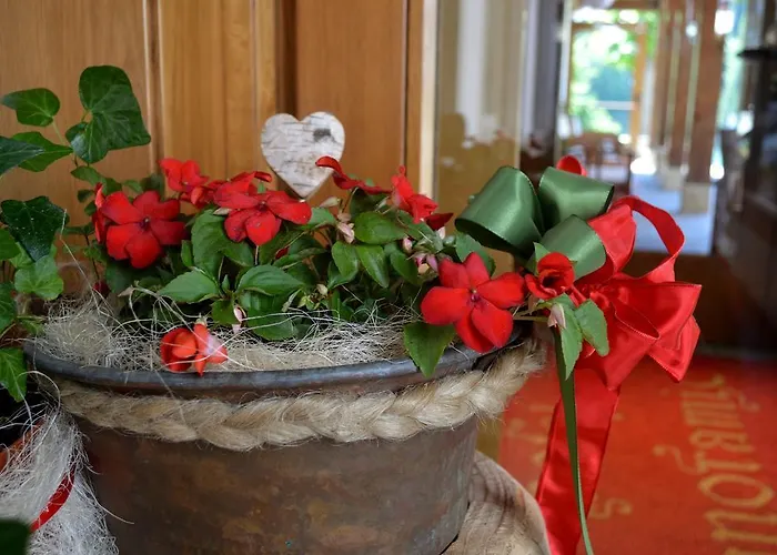 Panoramic Hotel Auronzo di Cadore