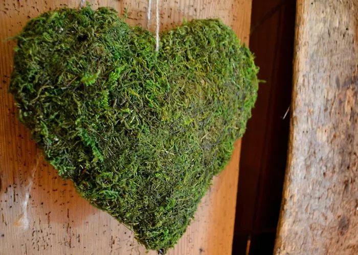 Panoramic Hotel Auronzo di Cadore